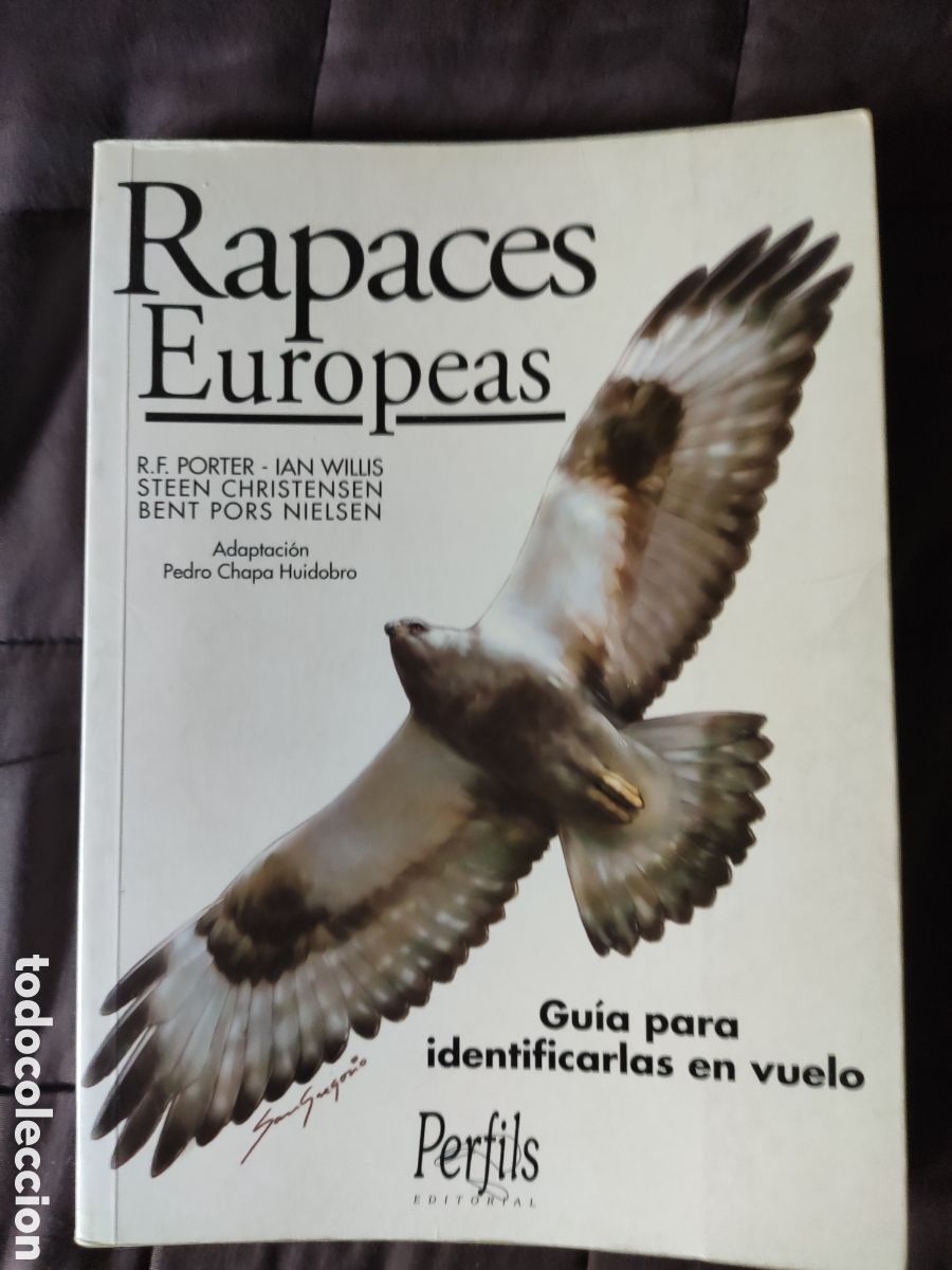 Gebrauchte B&uuml;cher: RAPACES EUROPEAS. Porter, Willis, Christensen, Nielsen