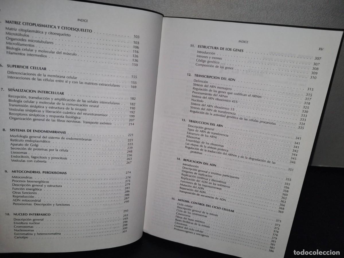 Libros de segunda mano: 170- BIOLOG&Iacute;A CELULAR Y MOLECULAR DE EDUARDO D. P. DE ROBERTIS - EDITORIAL EL ATENEO - Foto 7