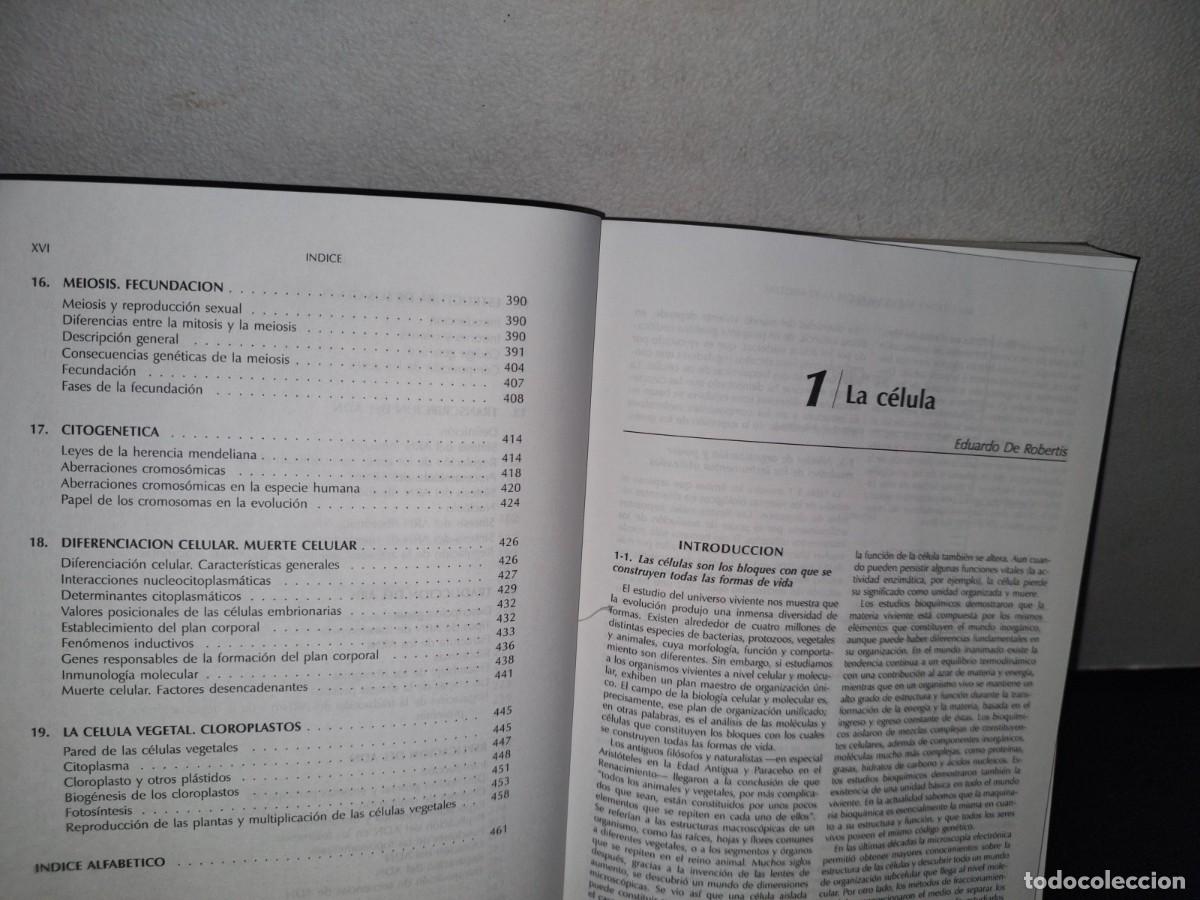 Libros de segunda mano: 170- BIOLOG&Iacute;A CELULAR Y MOLECULAR DE EDUARDO D. P. DE ROBERTIS - EDITORIAL EL ATENEO - Foto 8
