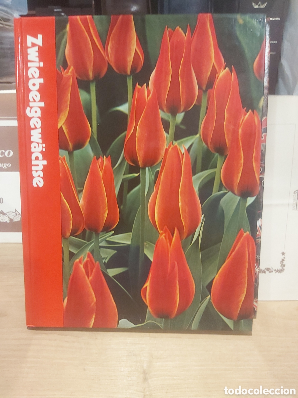 Second hand books: Zwiebelgewacyse flora agricultura Holanda
