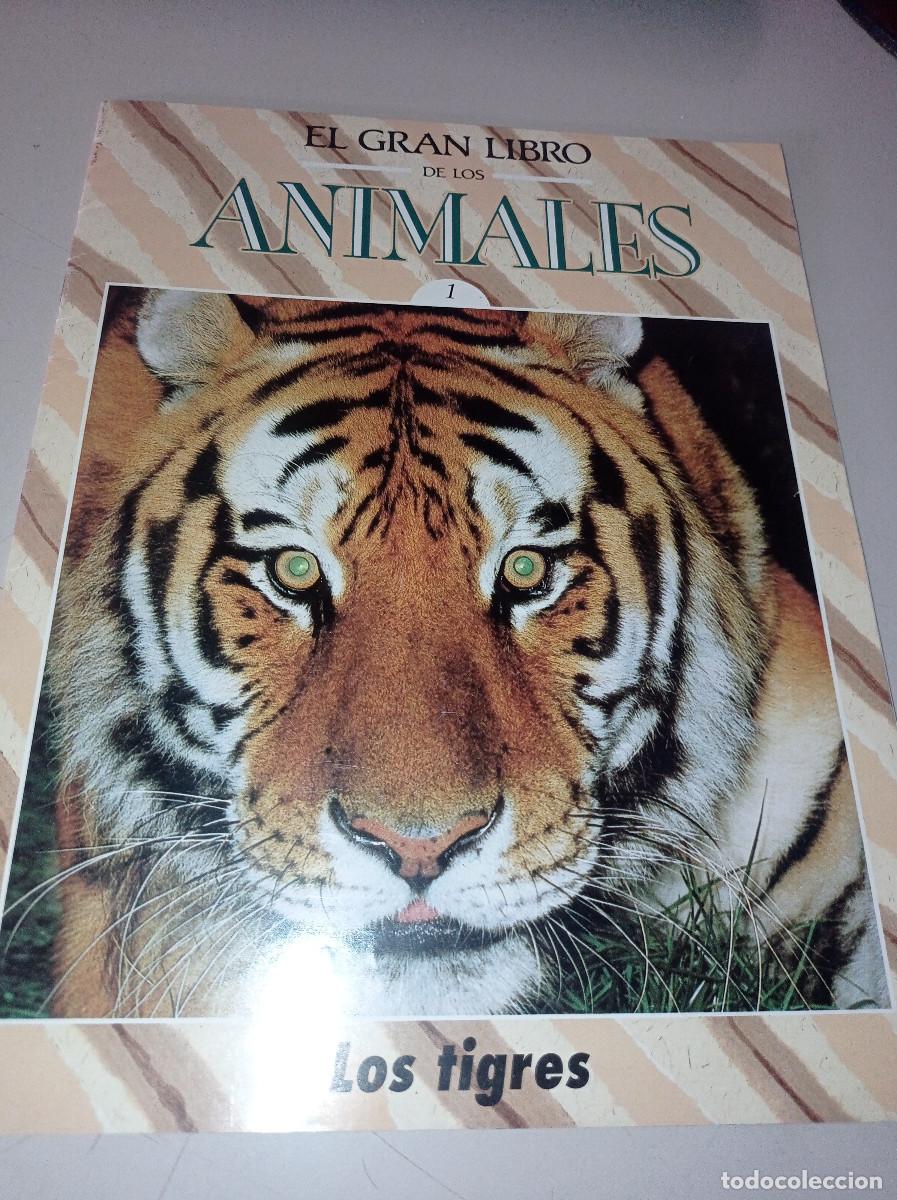 Libros de segunda mano: FASC&Iacute;CULO EL GRAN LIBRO DE LOS ANIMALES. N&ordm; 1. LOS TIGRES. REF. UR CAJA 1 - Foto 1