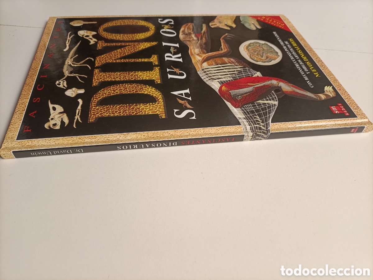 Libros de segunda mano: Fascinantes dinosaurios David Unwin - Foto 4