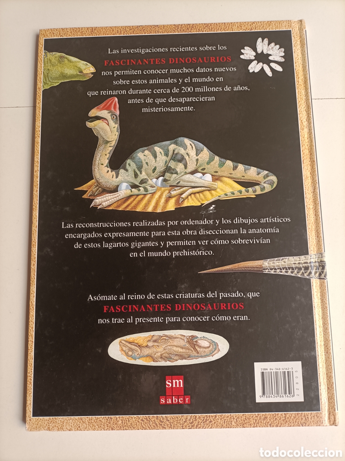 Libros de segunda mano: Fascinantes dinosaurios David Unwin - Foto 5