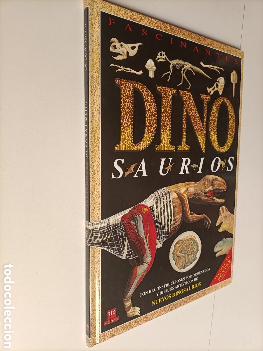 Libros de segunda mano: Fascinantes dinosaurios David Unwin - Foto 1