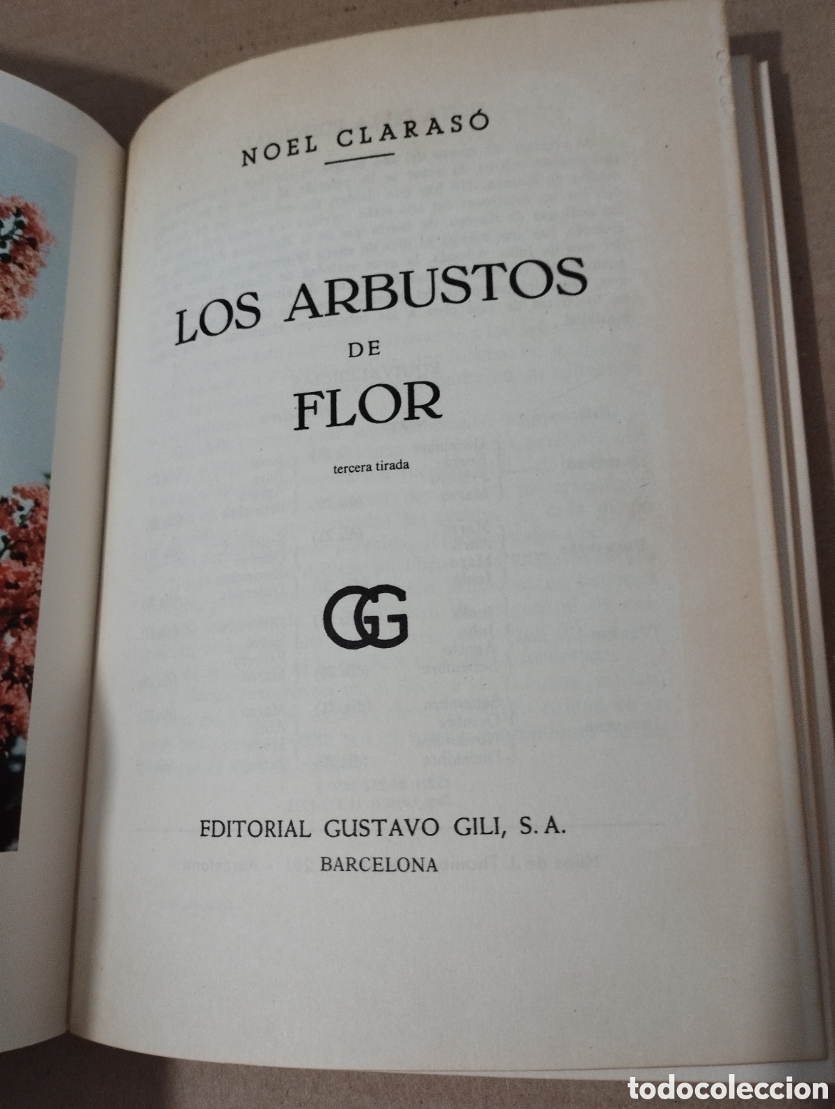 Libros de segunda mano: LOS ARBUSTOS EN FLOR (NOEL CLARASO) - Foto 2