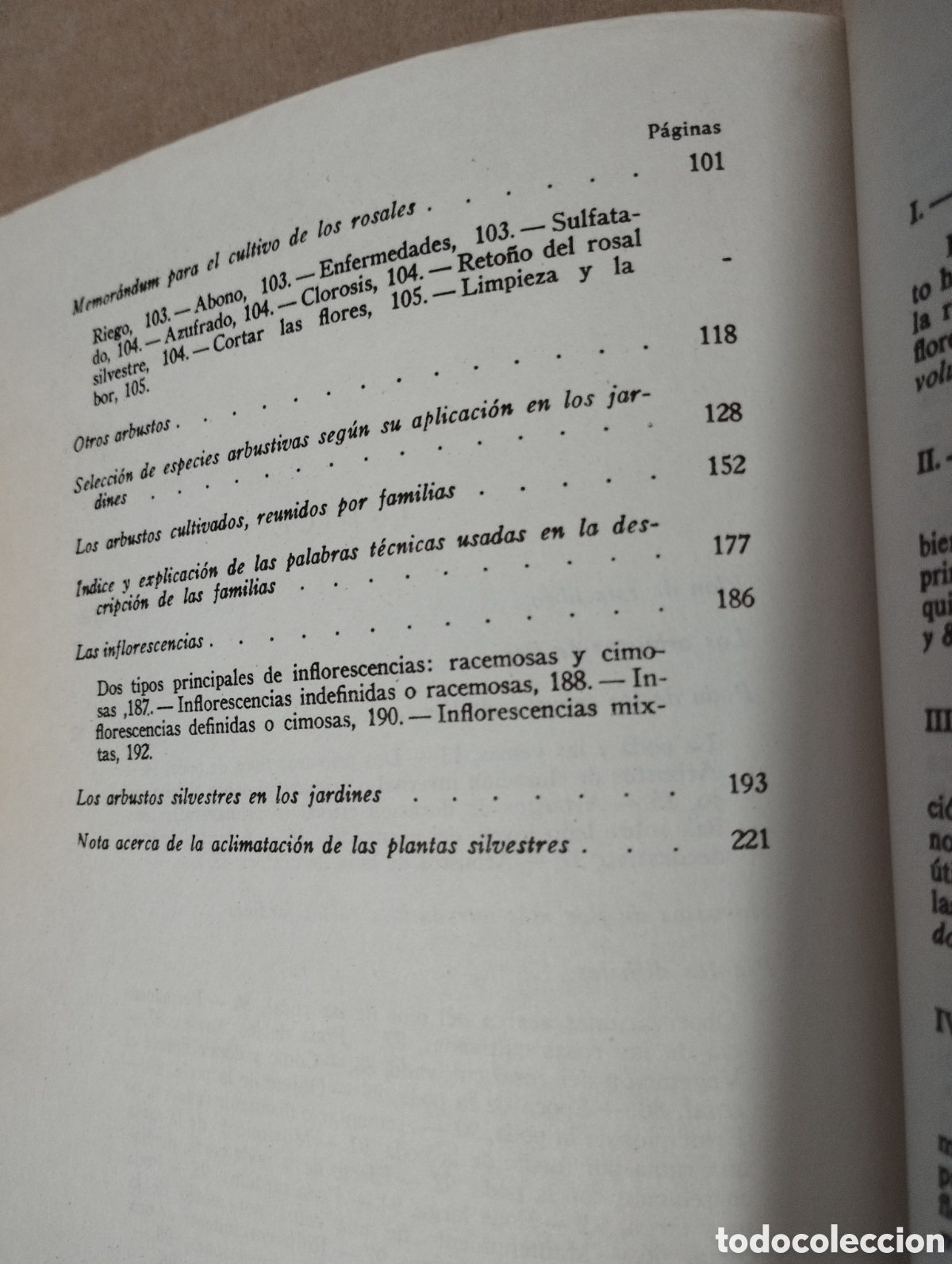Libros de segunda mano: LOS ARBUSTOS EN FLOR (NOEL CLARASO) - Foto 4