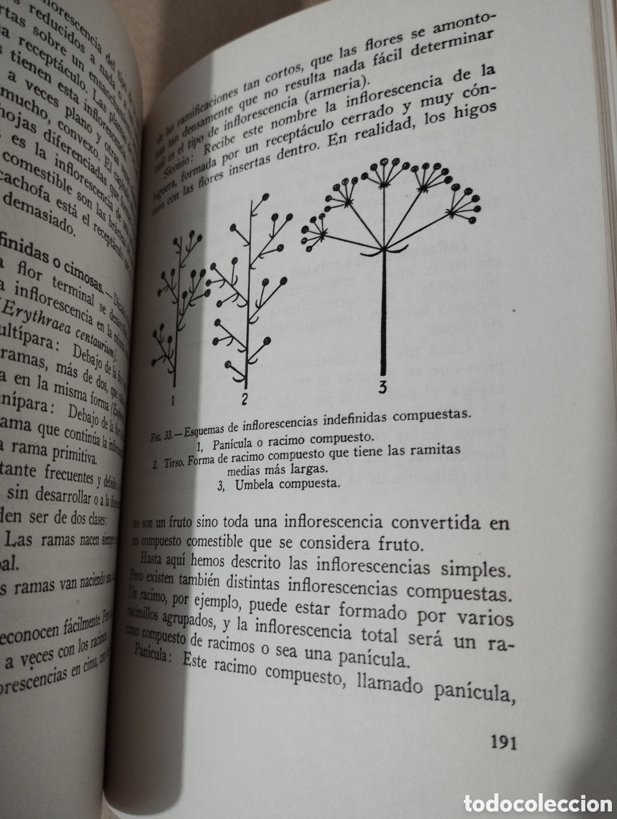 Libros de segunda mano: LOS ARBUSTOS EN FLOR (NOEL CLARASO) - Foto 5