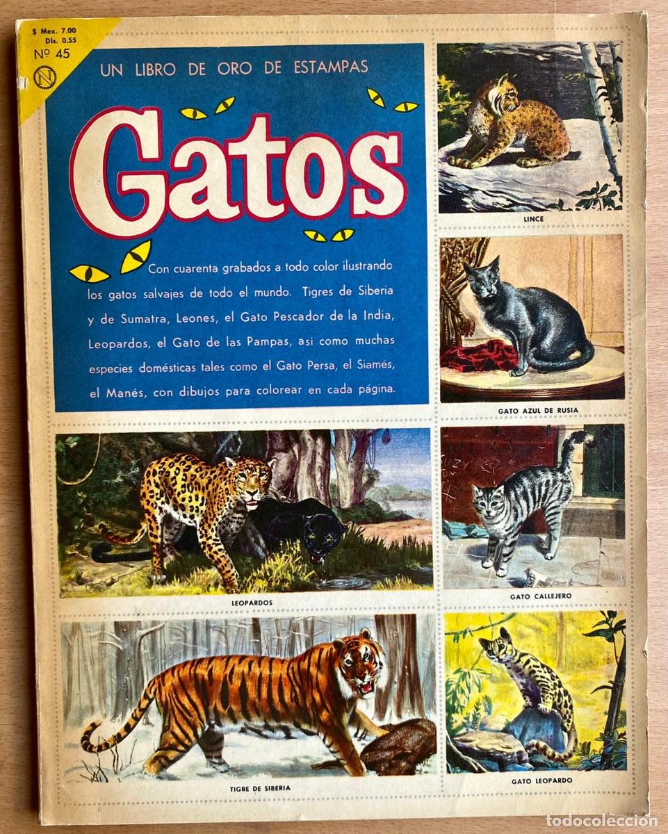 Libros de segunda mano: Un libro de oro de estampas, Gatos - Foto 1
