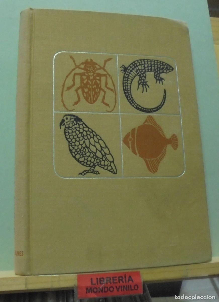 Libros de segunda mano: Desfile de la naturaleza. Frank W. Lane - Foto 1
