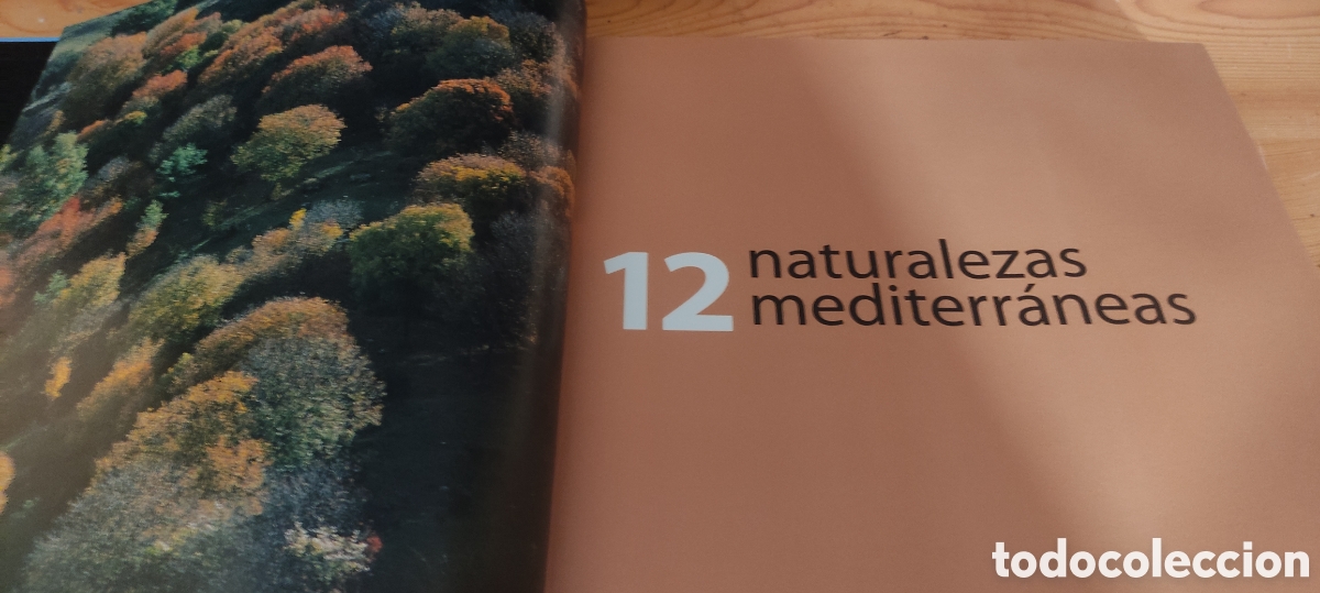 Libros de segunda mano: NATURALEZAS MEDITERRANEAS 2005 - Foto 2