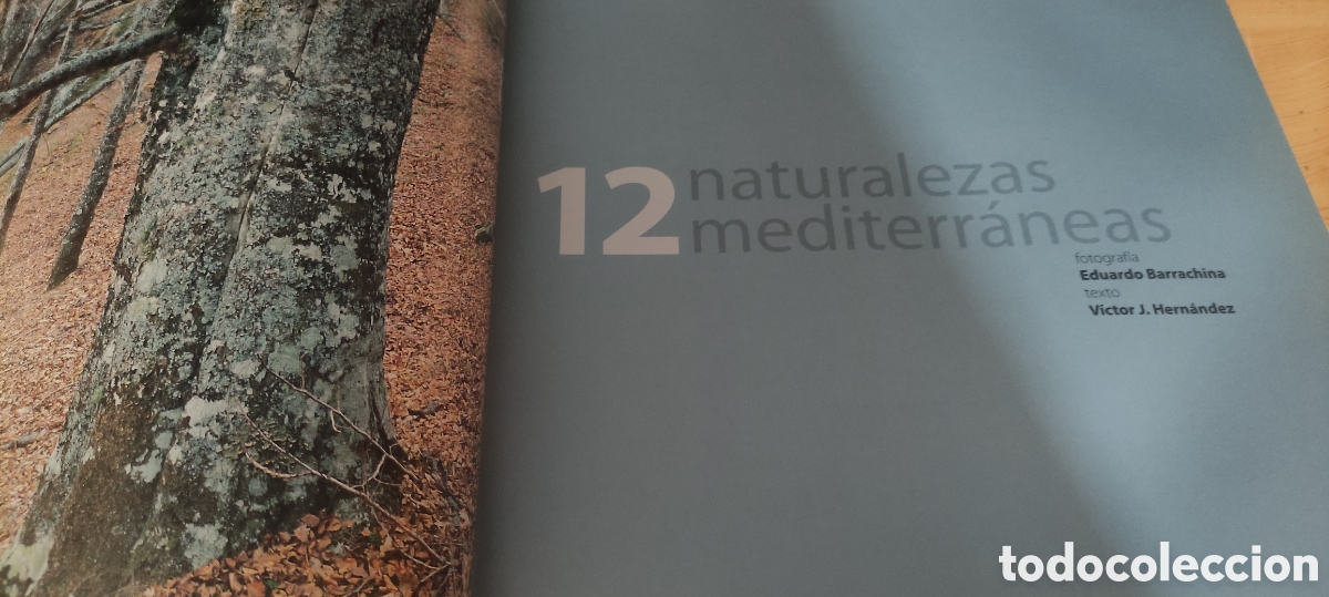 Libros de segunda mano: NATURALEZAS MEDITERRANEAS 2005 - Foto 3