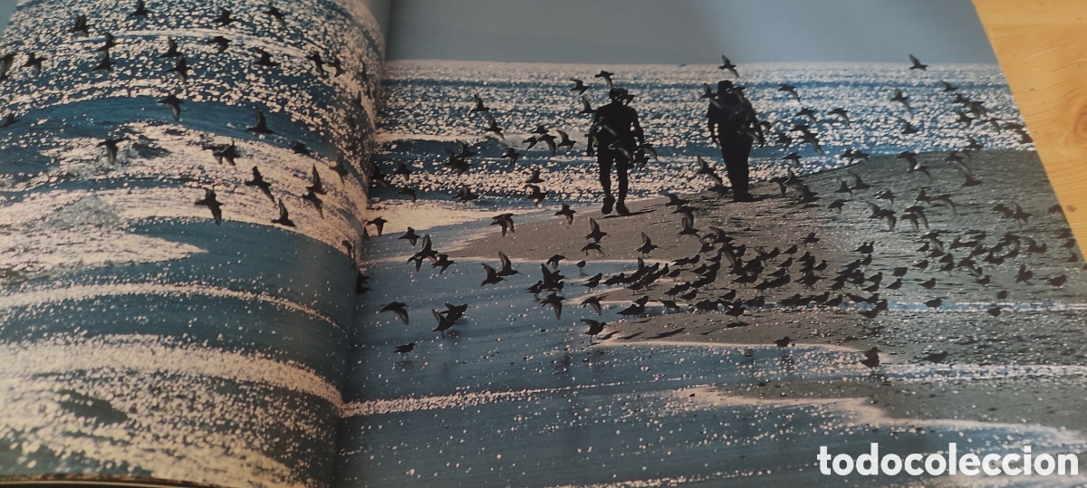 Libros de segunda mano: NATURALEZAS MEDITERRANEAS 2005 - Foto 4