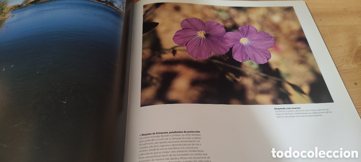 Libros de segunda mano: NATURALEZAS MEDITERRANEAS 2005 - Foto 5