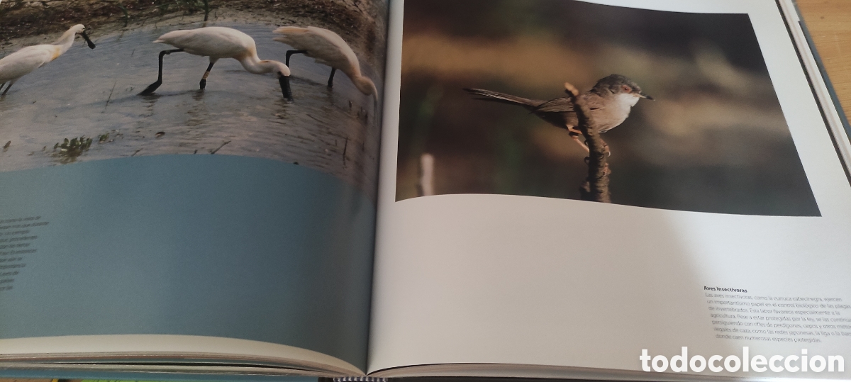 Libros de segunda mano: NATURALEZAS MEDITERRANEAS 2005 - Foto 6