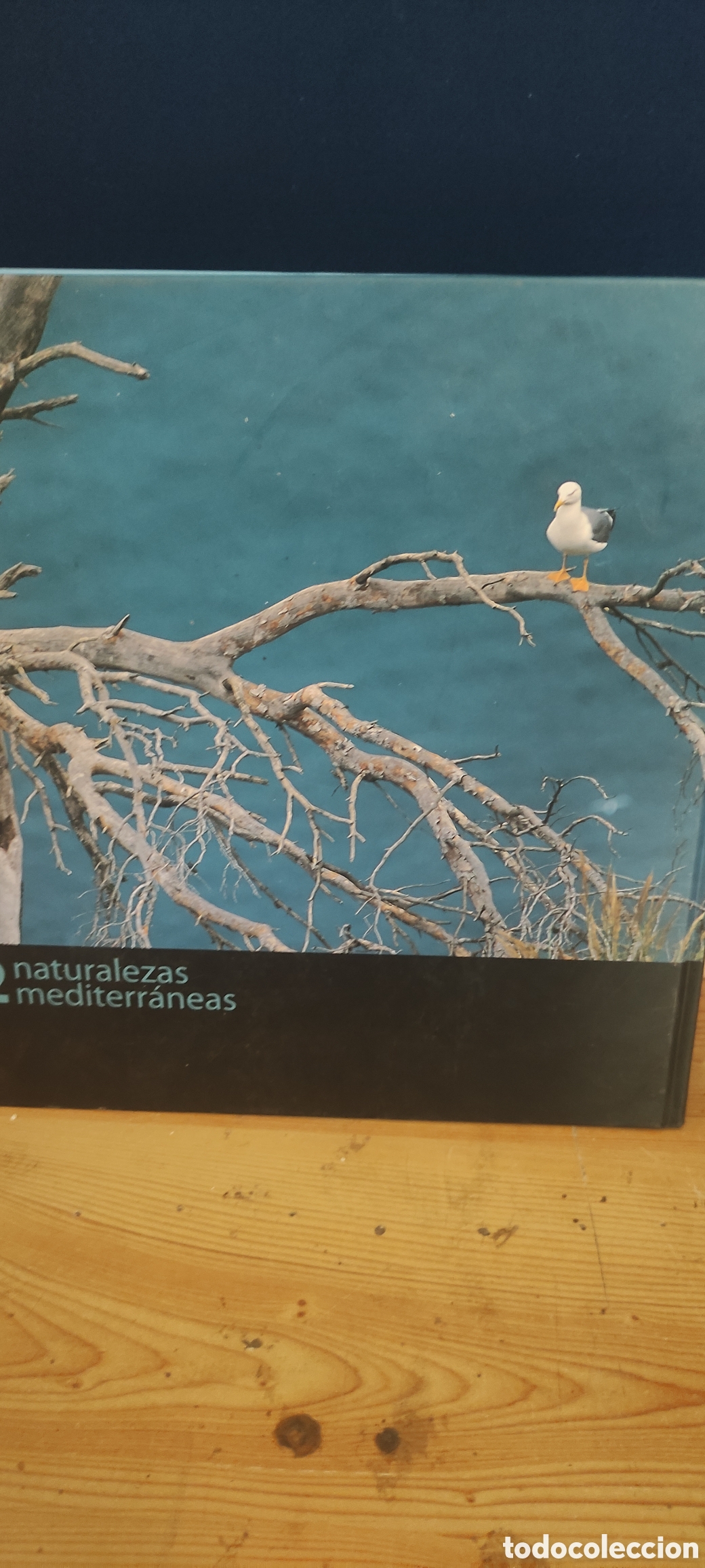 Libros de segunda mano: NATURALEZAS MEDITERRANEAS 2005 - Foto 7
