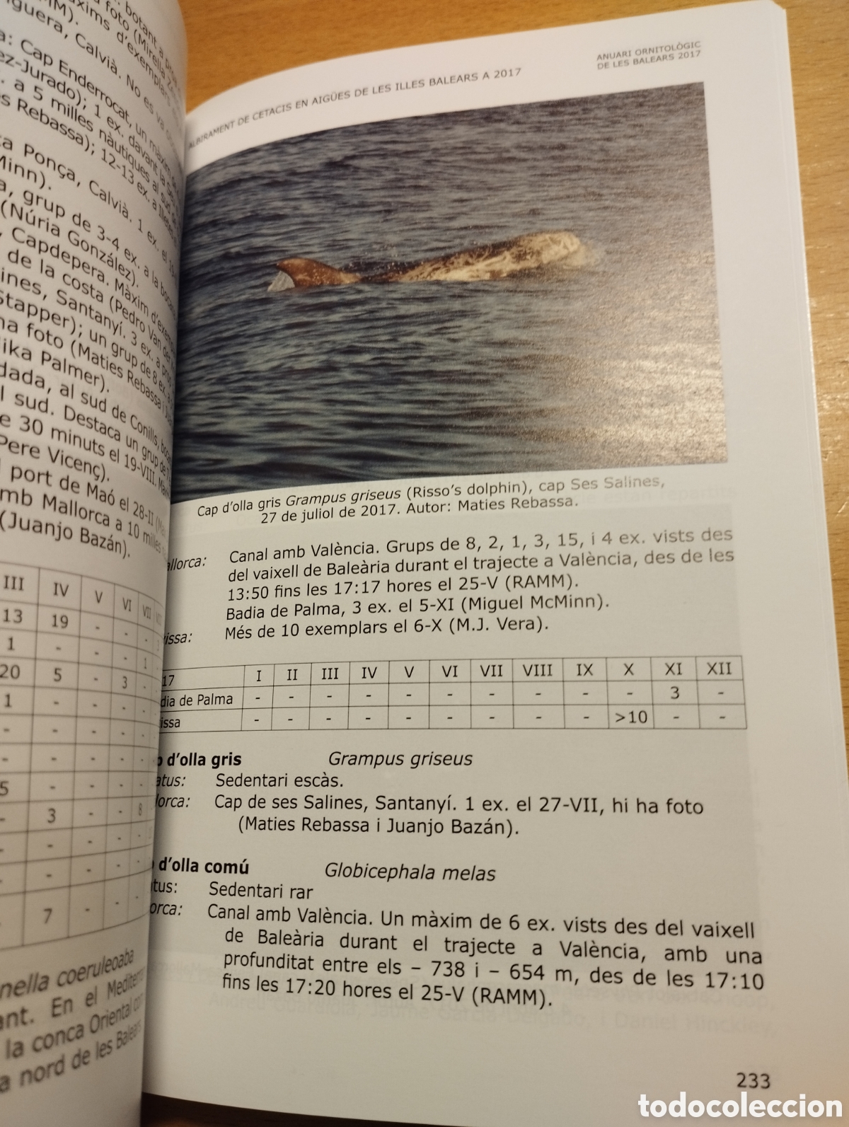 Libros de segunda mano: ANUARI ORNITOL&Ograve;GIC DE LES BALEARS, ANY 2017. VOLUM 32 - Foto 2