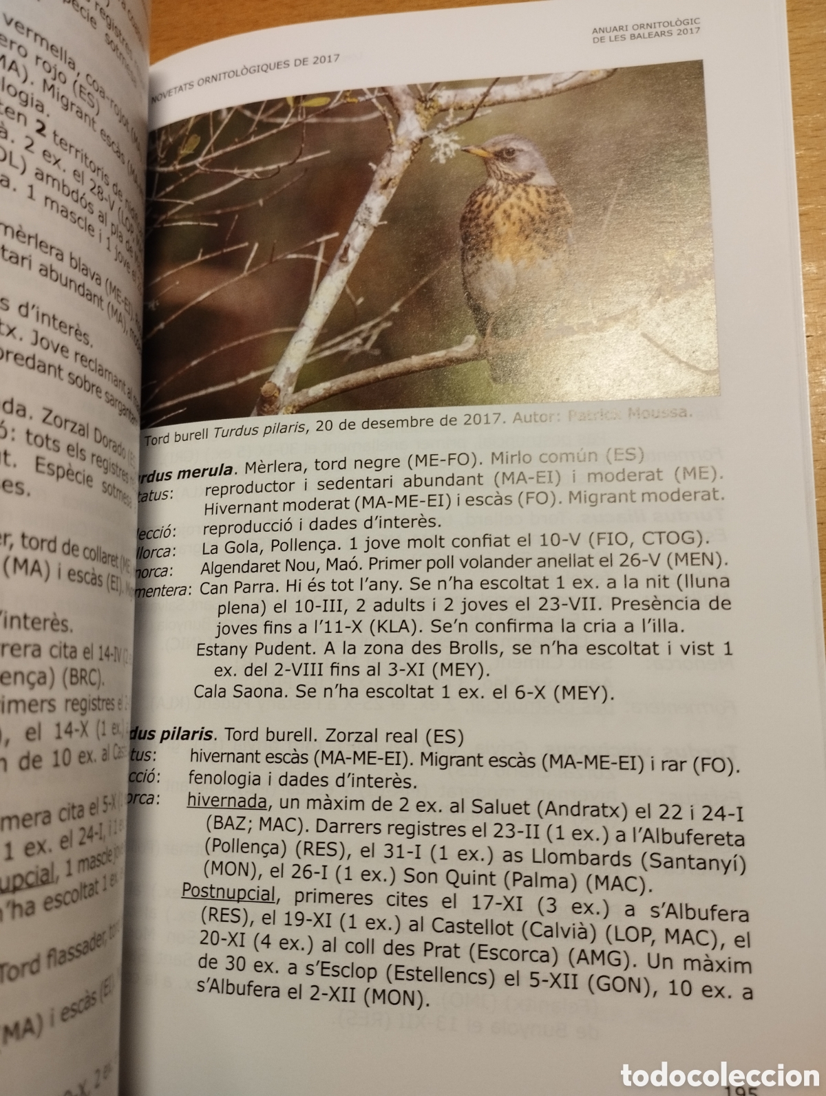 Libros de segunda mano: ANUARI ORNITOL&Ograve;GIC DE LES BALEARS, ANY 2017. VOLUM 32 - Foto 3