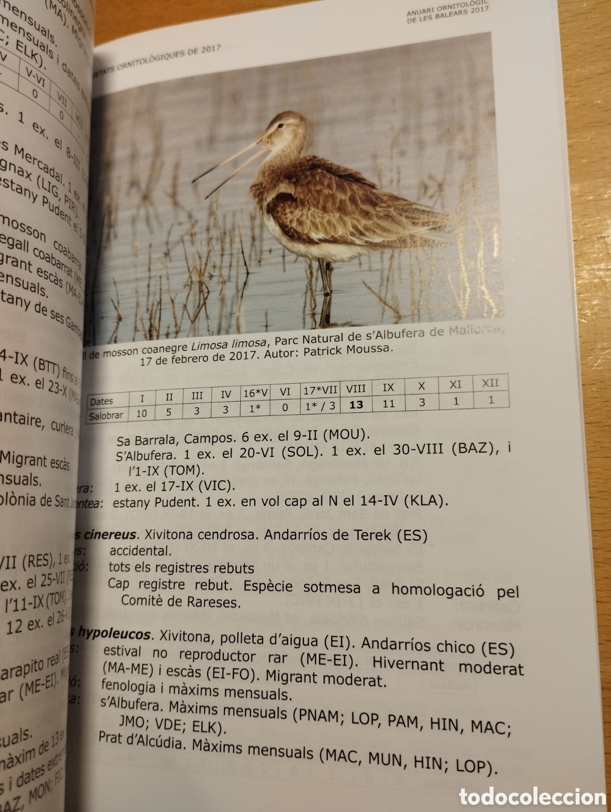 Libros de segunda mano: ANUARI ORNITOL&Ograve;GIC DE LES BALEARS, ANY 2017. VOLUM 32 - Foto 4