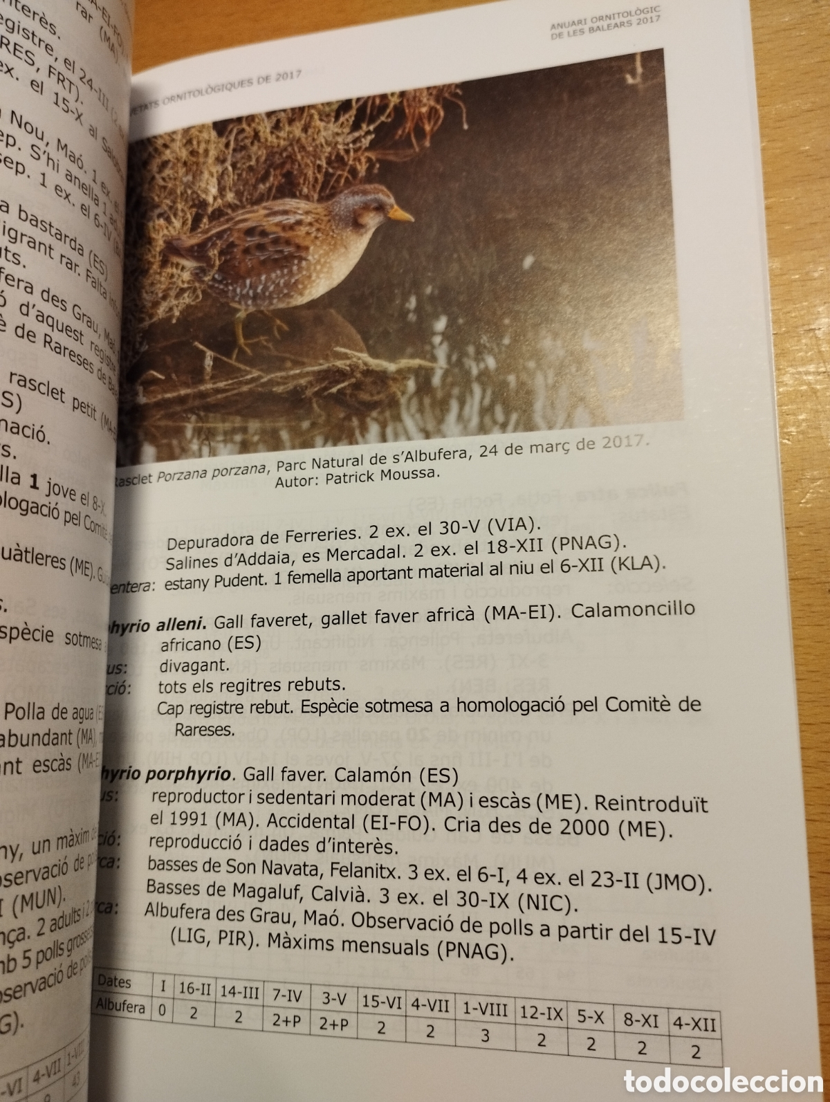 Libros de segunda mano: ANUARI ORNITOL&Ograve;GIC DE LES BALEARS, ANY 2017. VOLUM 32 - Foto 5