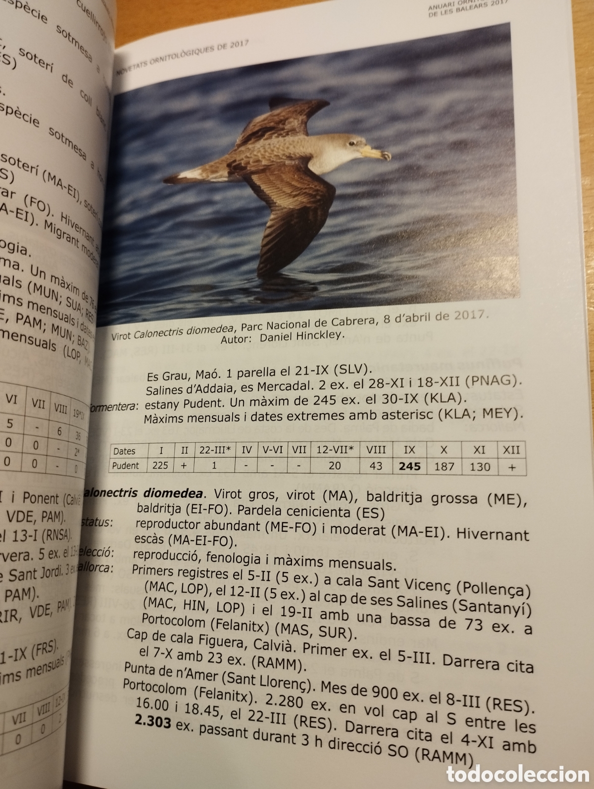 Libros de segunda mano: ANUARI ORNITOL&Ograve;GIC DE LES BALEARS, ANY 2017. VOLUM 32 - Foto 6