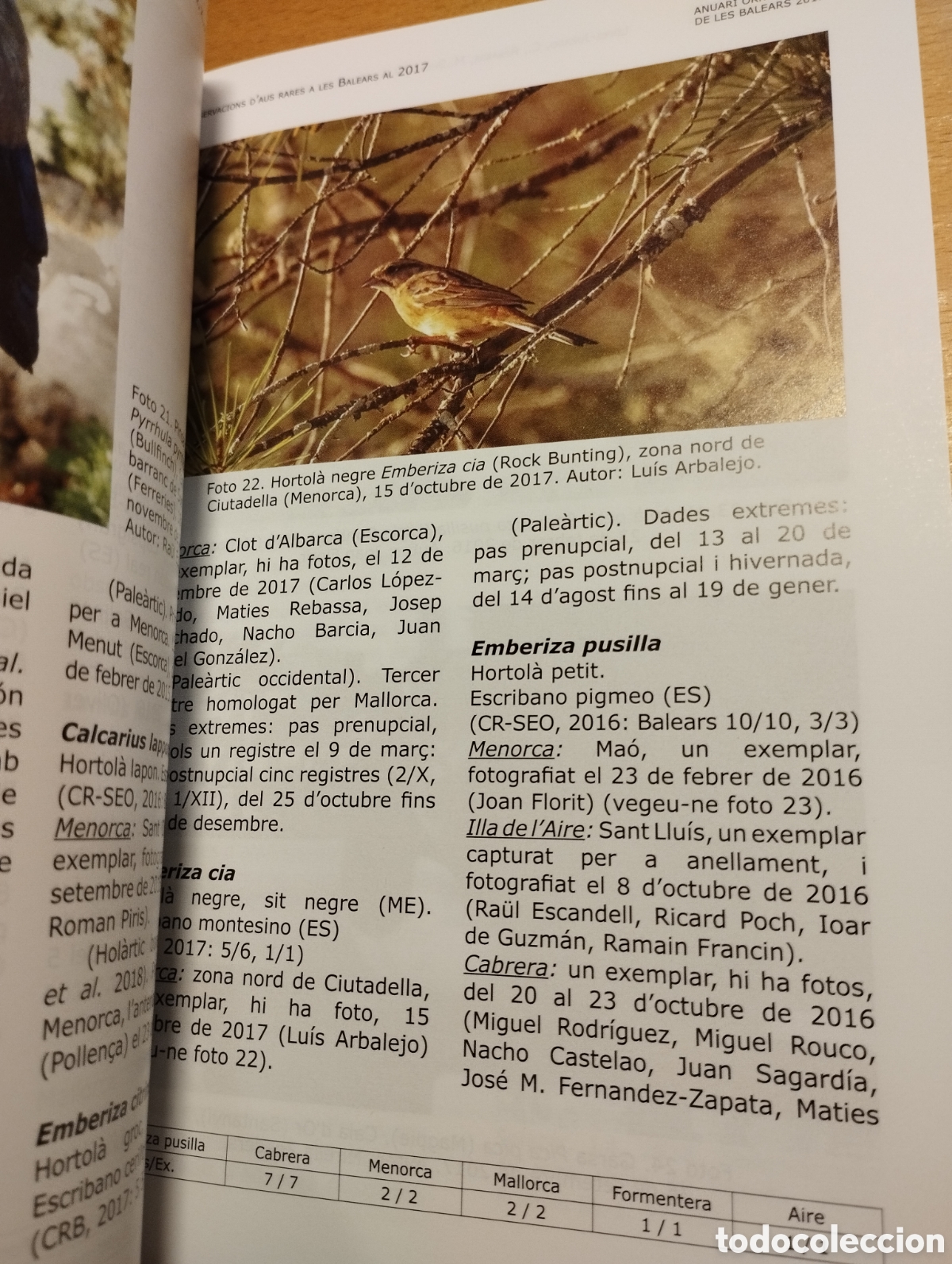 Libros de segunda mano: ANUARI ORNITOL&Ograve;GIC DE LES BALEARS, ANY 2017. VOLUM 32 - Foto 7