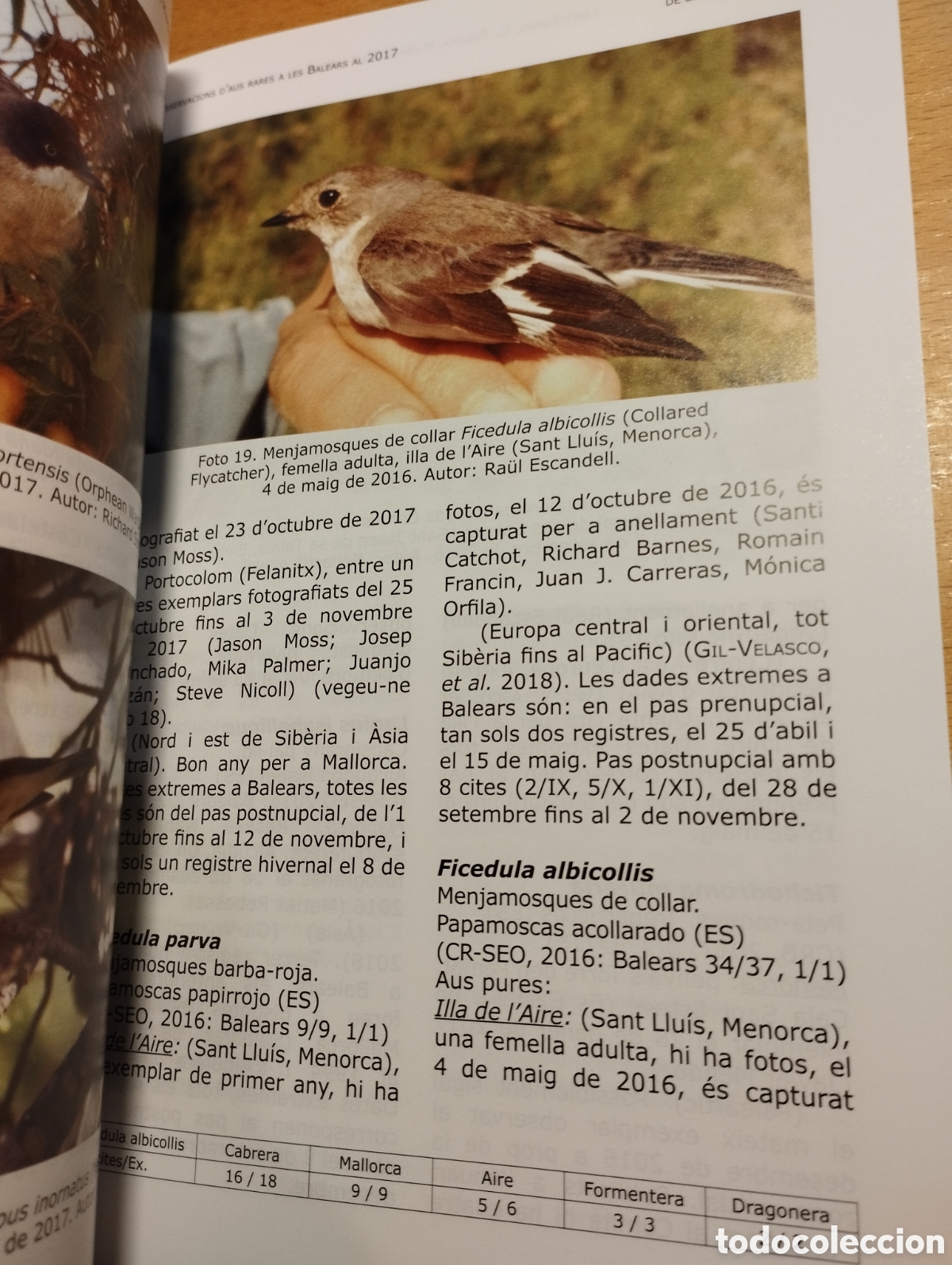 Libros de segunda mano: ANUARI ORNITOL&Ograve;GIC DE LES BALEARS, ANY 2017. VOLUM 32 - Foto 8