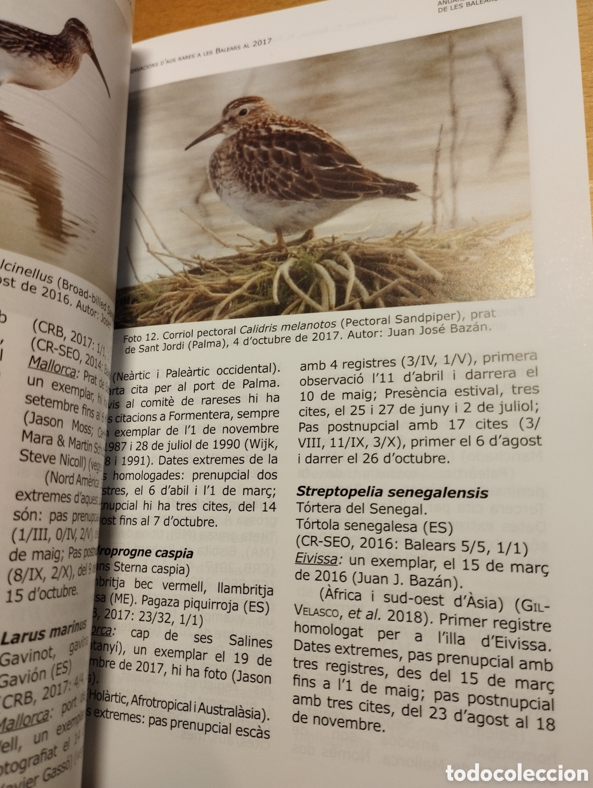 Libros de segunda mano: ANUARI ORNITOL&Ograve;GIC DE LES BALEARS, ANY 2017. VOLUM 32 - Foto 9
