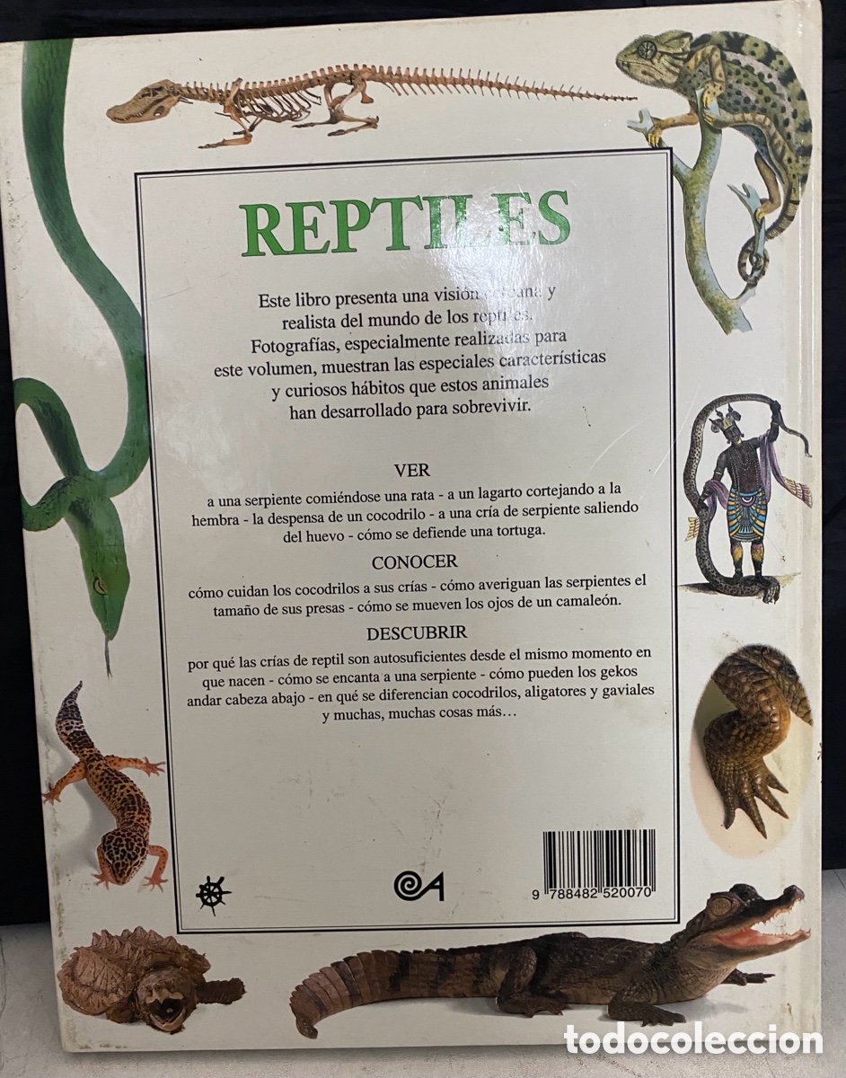 Libros de segunda mano: REPTILES. biblioteca visual altea - Foto 3