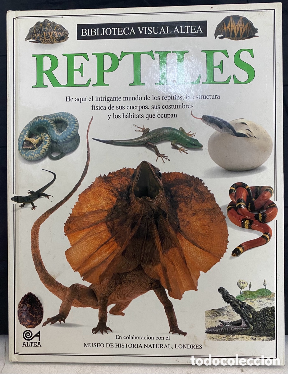 Libros de segunda mano: REPTILES. biblioteca visual altea - Foto 1