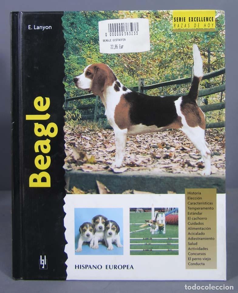 Libros de segunda mano: Beagle. Evelyn E. Lanyon - Foto 1