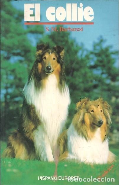 Libros de segunda mano: EL COLLIE HISPANO EUROPEA - Foto 1