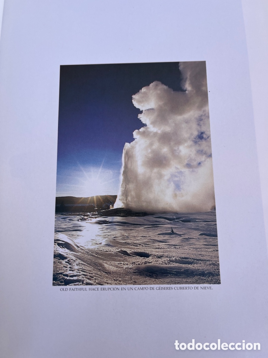 Libros de segunda mano: NATIONAL GEOGRAPHIC. YELLOWSTONE. - Foto 2