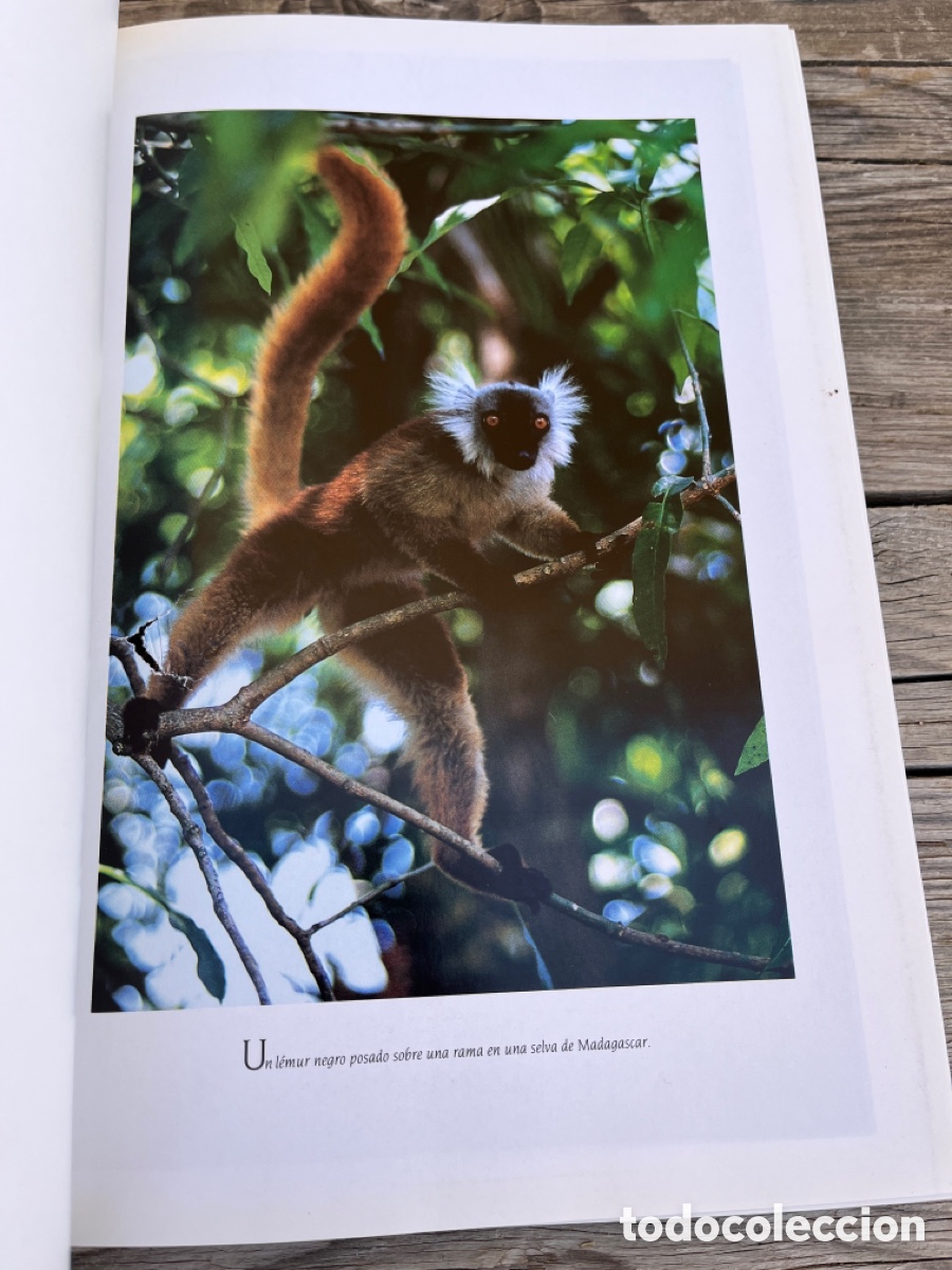 Libros de segunda mano: NATIONAL GEOGRAPHIC. PARAISOS OLVIDADOS. - Foto 2