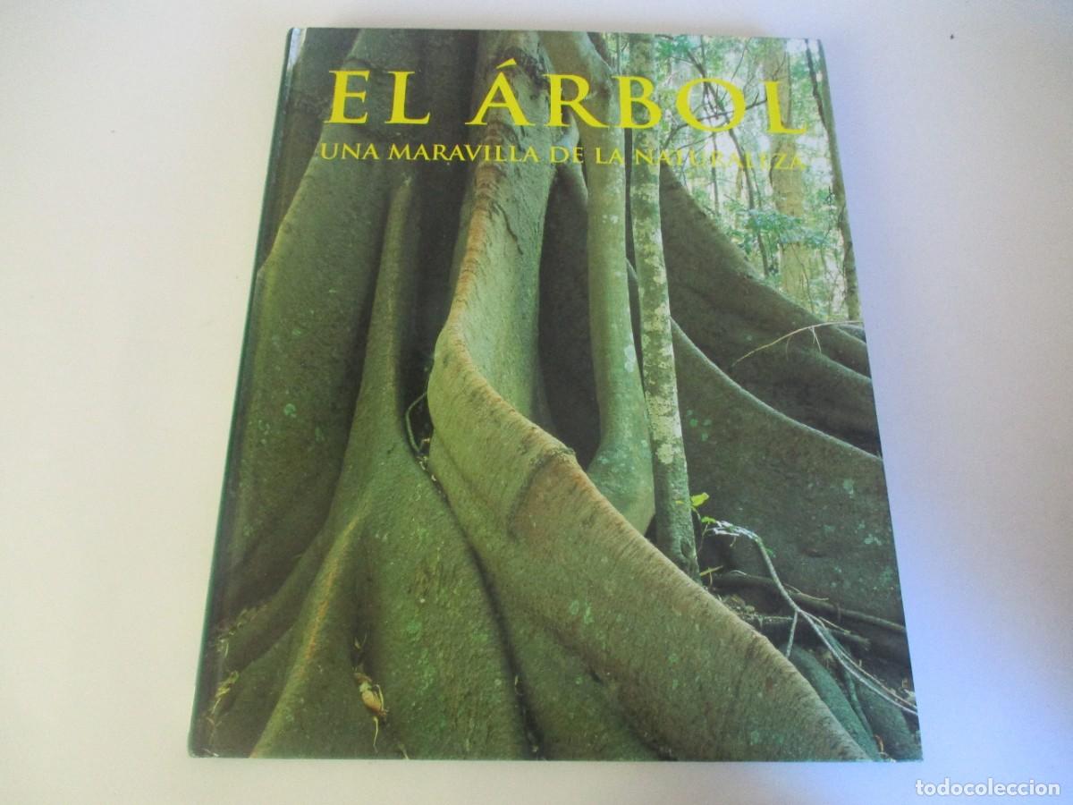 Libros de segunda mano: JENNY LINFORD El &aacute;rbol W20322 - Foto 1