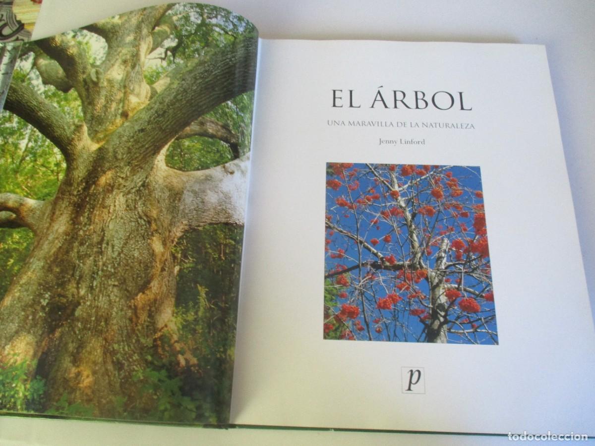 Libros de segunda mano: JENNY LINFORD El &aacute;rbol W20322 - Foto 2