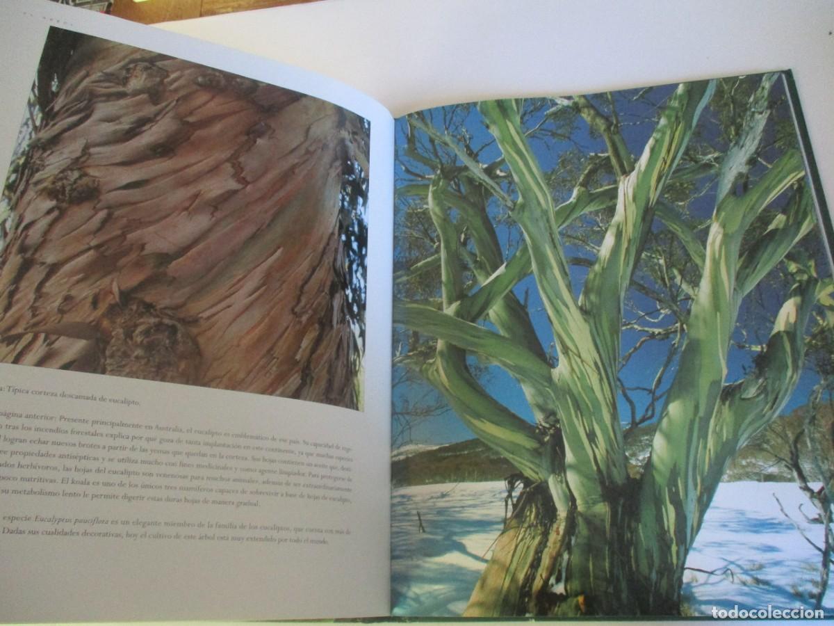 Libros de segunda mano: JENNY LINFORD El &aacute;rbol W20322 - Foto 3