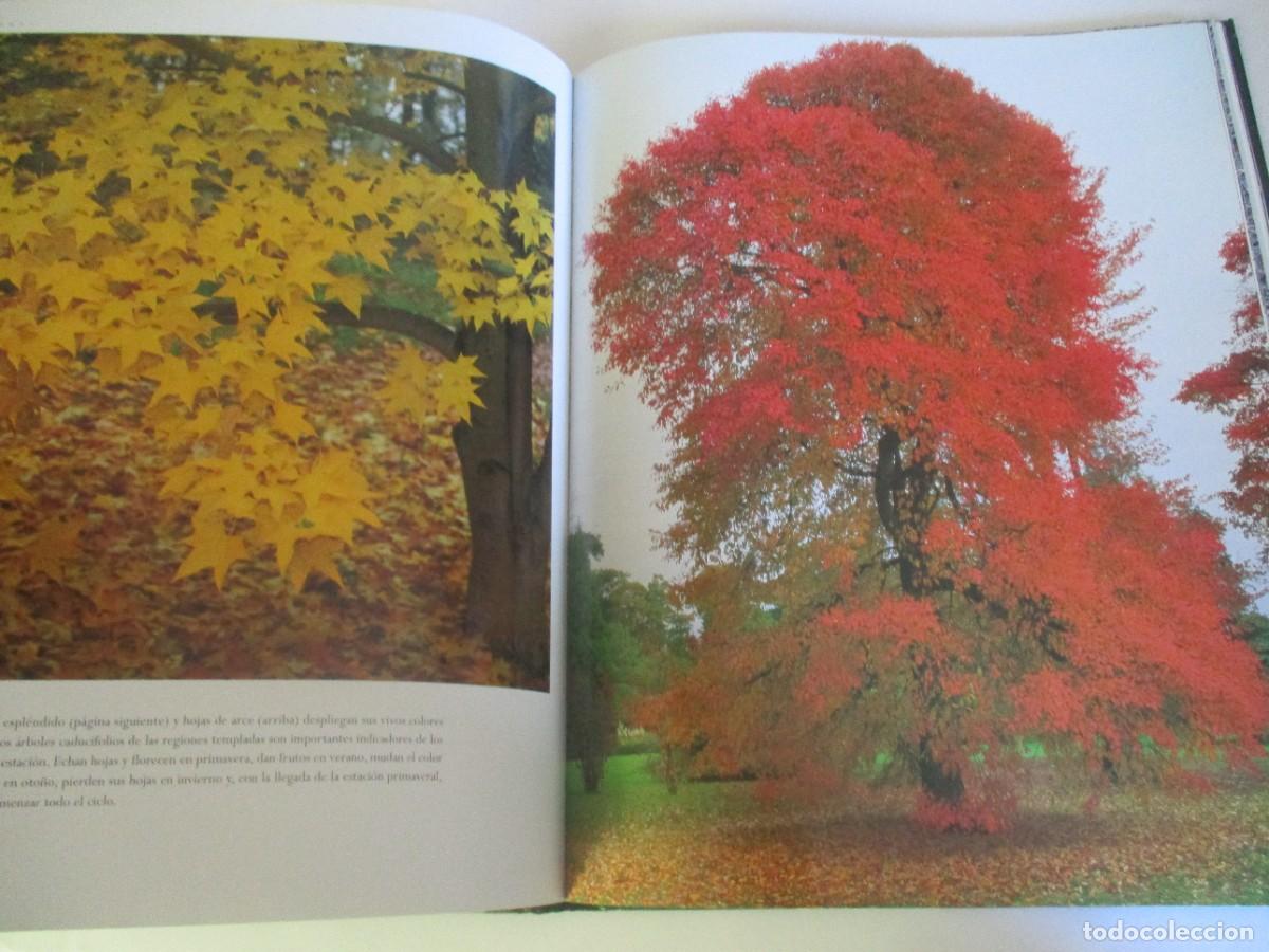 Libros de segunda mano: JENNY LINFORD El &aacute;rbol W20322 - Foto 5