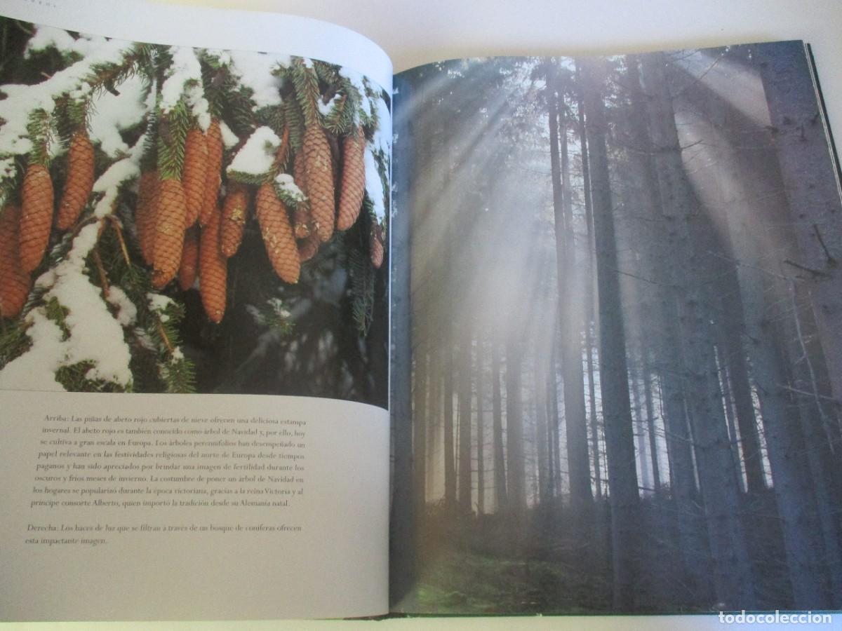 Libros de segunda mano: JENNY LINFORD El &aacute;rbol W20322 - Foto 6
