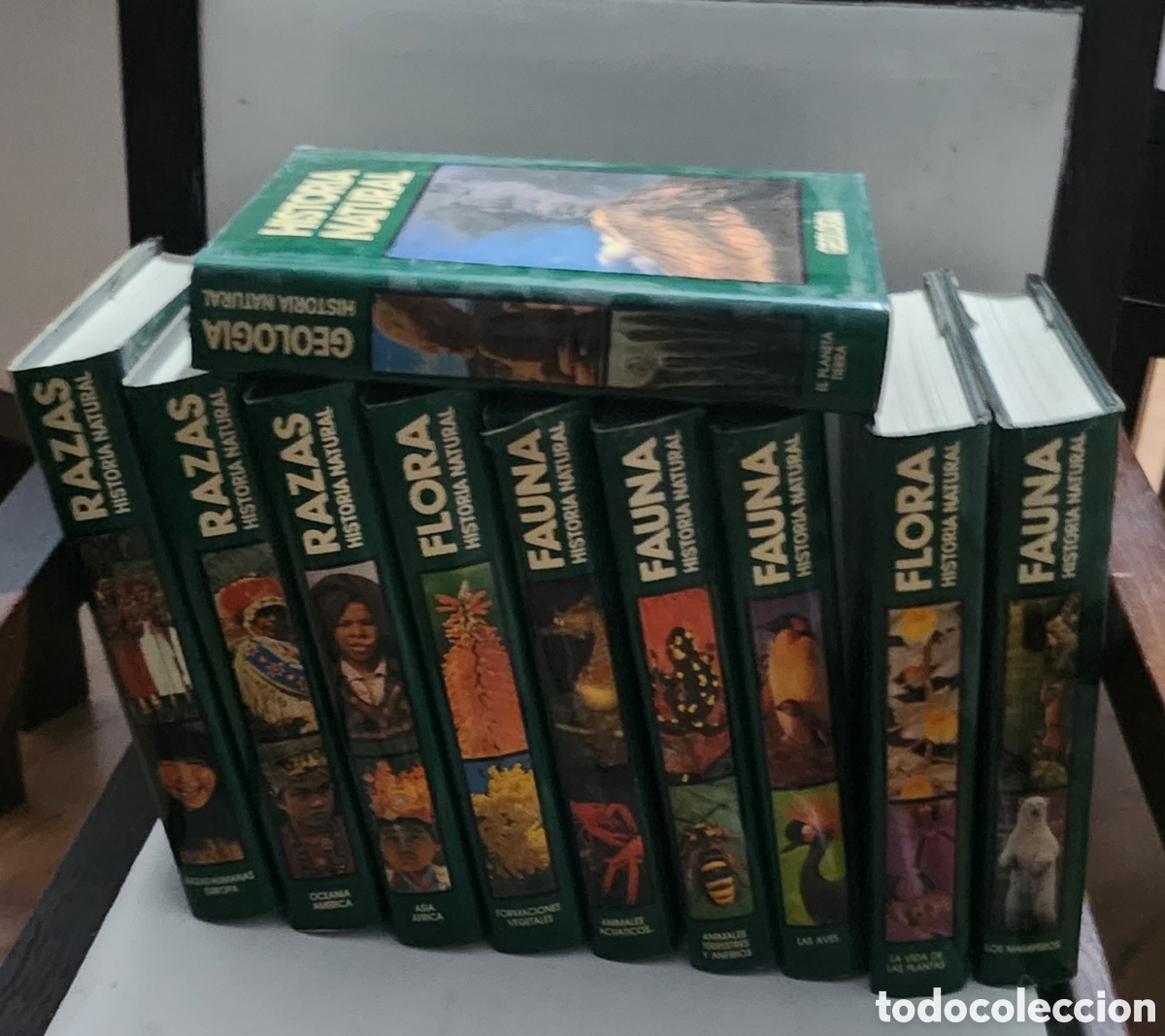 Libros de segunda mano: Historia Natural 10 Tomos - Foto 1