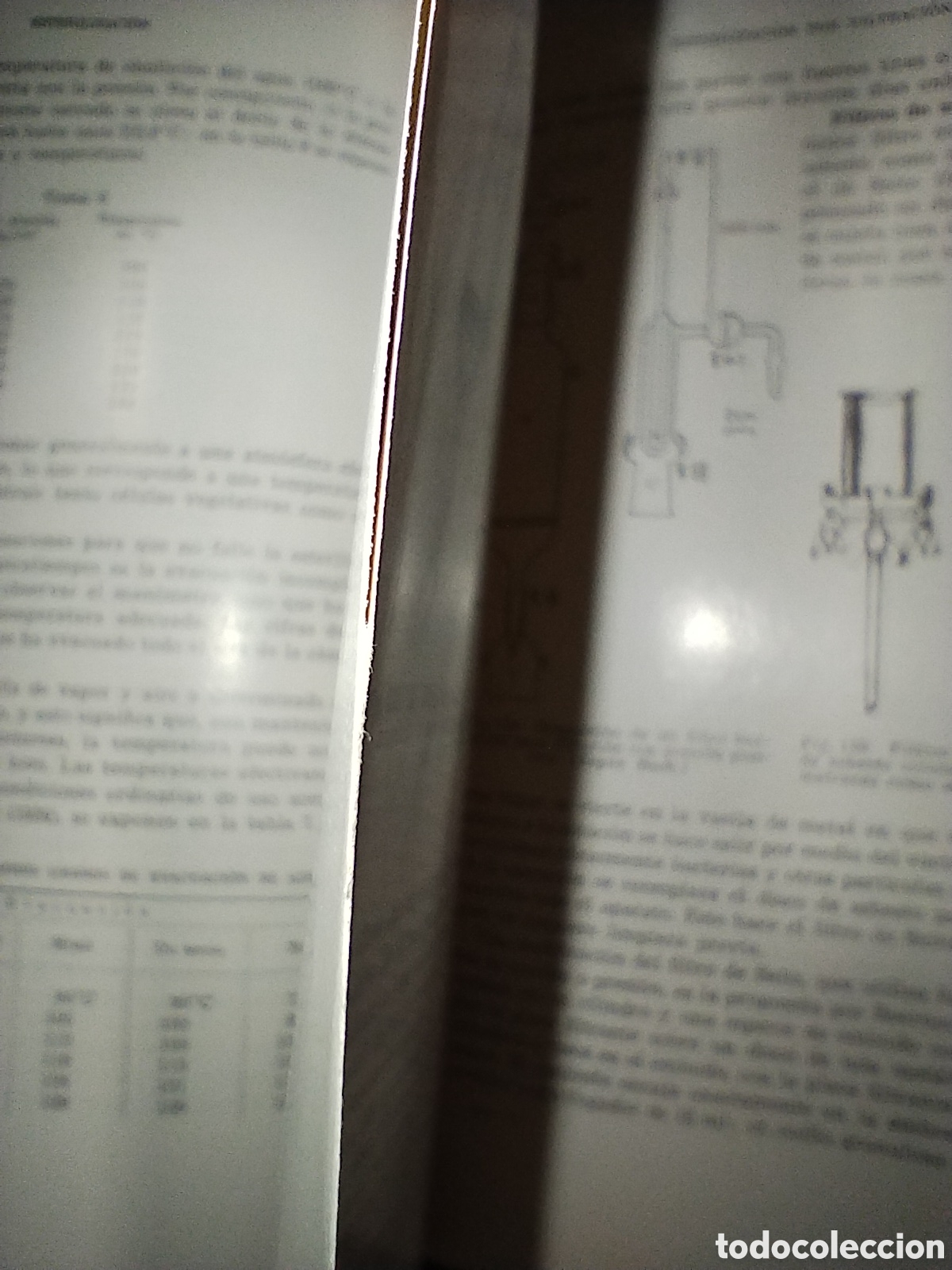 Libros de segunda mano: A.J. Salle - Bacteriologia - Foto 7
