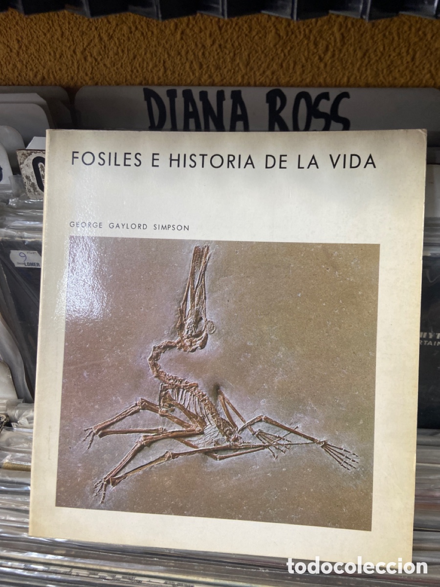 Libros de segunda mano: Fosiles e historia de la vida - Foto 1