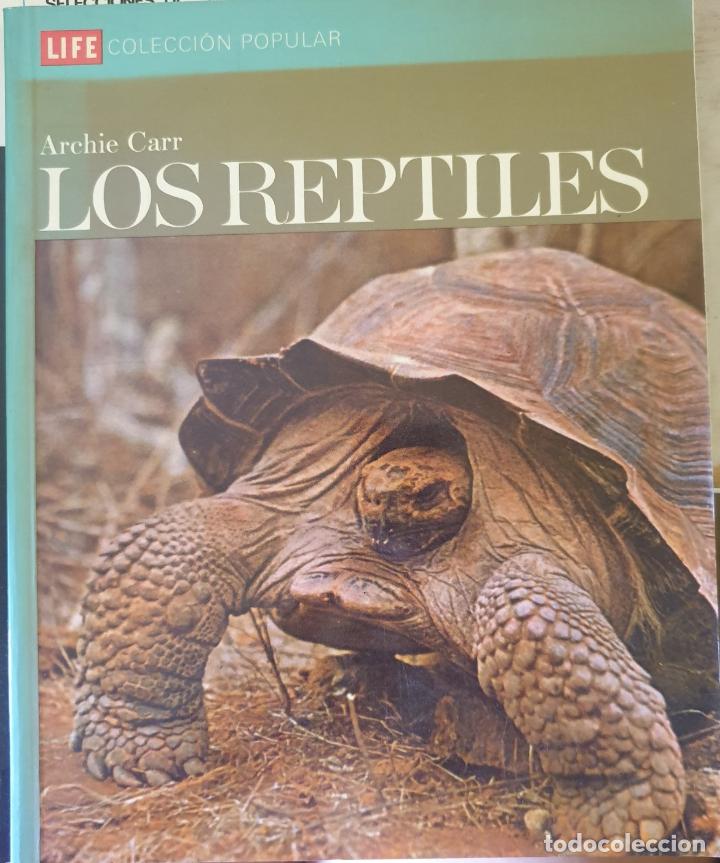 Libros de segunda mano: LOS REPTILES. - CARR, Archie. - Foto 1