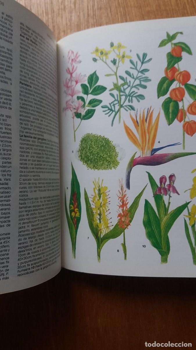 Libros de segunda mano: MANUAL DE PLANTAS DE JARDIN, MICHAEL WRIGHT, EDICIONES DEL SERBAL - Foto 3