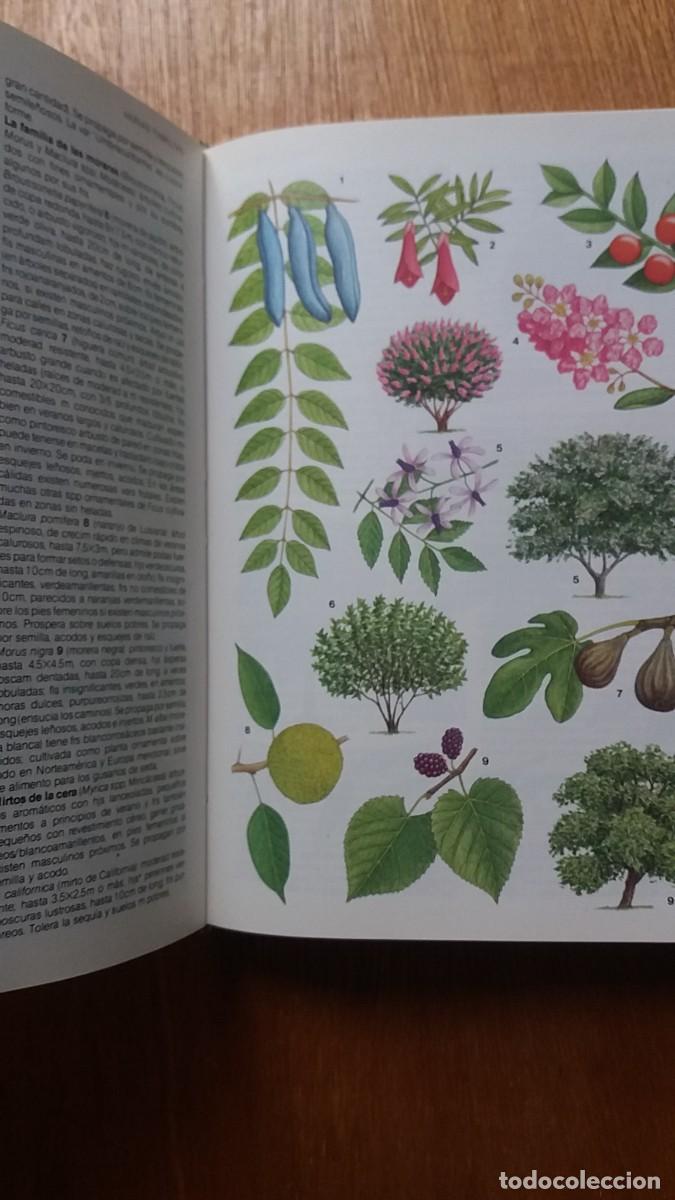Libros de segunda mano: MANUAL DE PLANTAS DE JARDIN, MICHAEL WRIGHT, EDICIONES DEL SERBAL - Foto 4