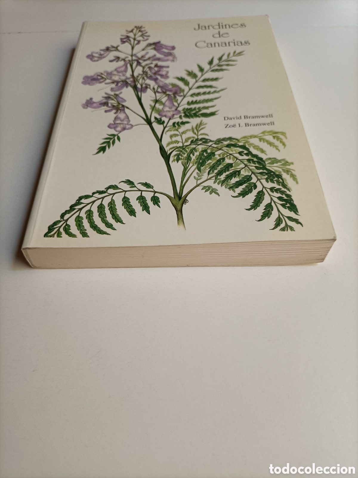 Libros de segunda mano: Jardines de Canarias David Branwell - Foto 3