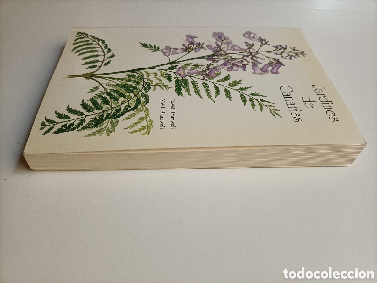 Libros de segunda mano: Jardines de Canarias David Branwell - Foto 5