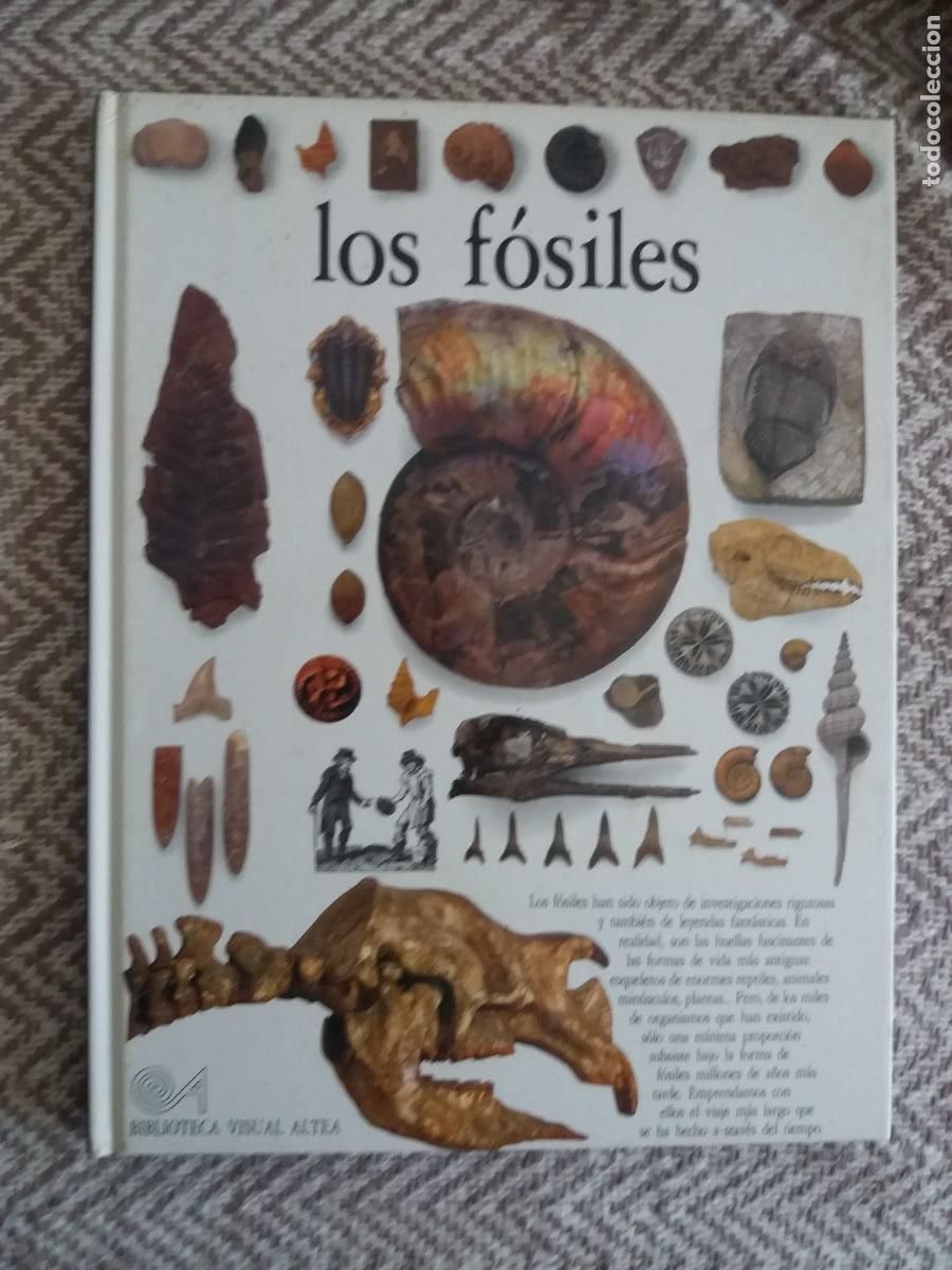 Libros de segunda mano: LOS F&Oacute;SILES. BIBLIOTECA VISUAL ALTEA - Foto 1