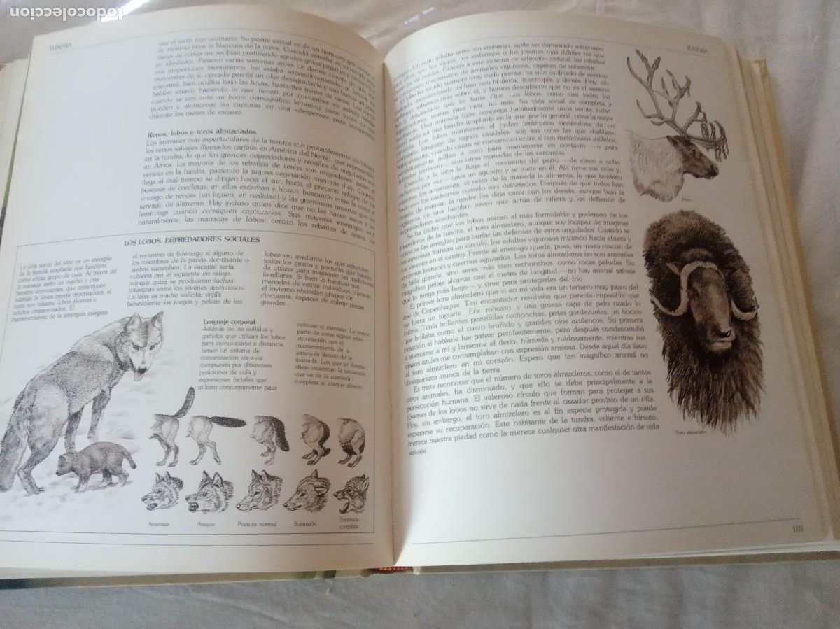 Libros de segunda mano: GUIA DEL NATURALISTA / GERALD DURRELL. - Foto 3