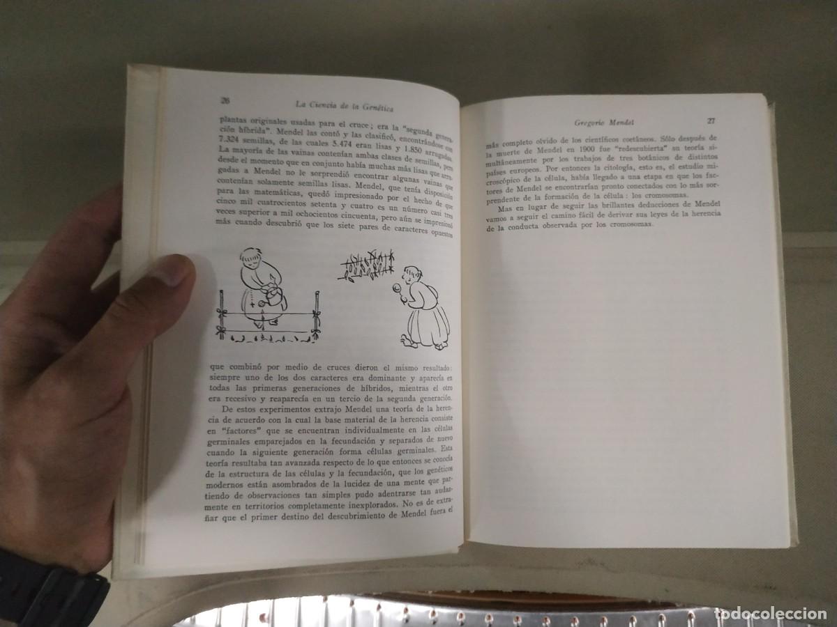 Libros de segunda mano: La ciencia de la gen&eacute;tica - Charlotte Auerbach - Foto 4