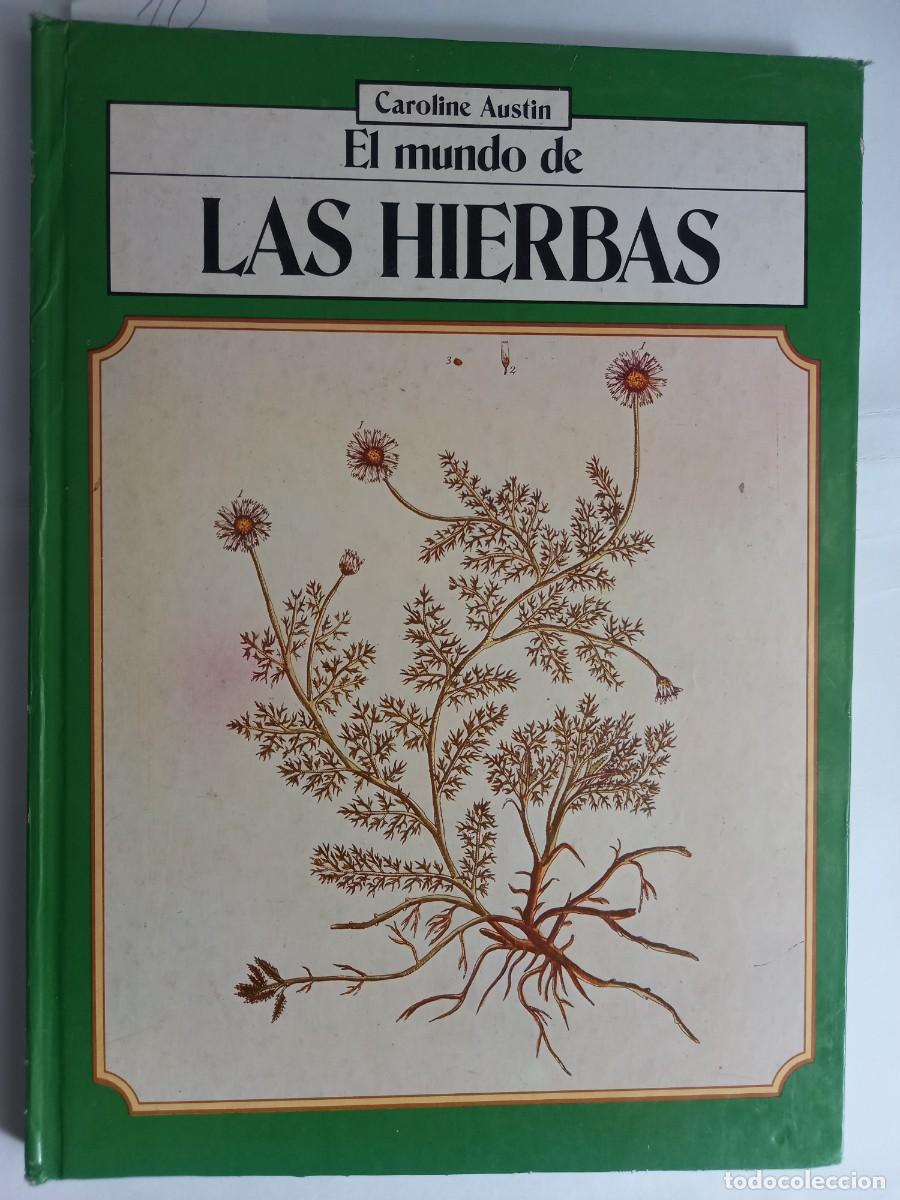 Libros de segunda mano: EL MUNDO DE LAS HIERBAS CAROLINE AUSTIN - Foto 1